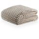 imagem do produto Cobertor Queen 320g Toque Seda Blanket Zurich - Kacyumara